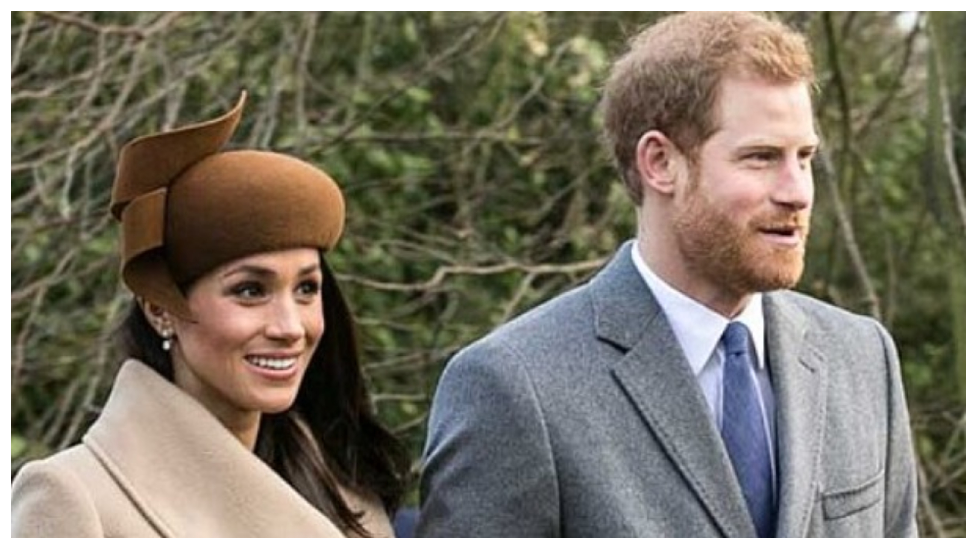 'No One Will Work With Them': Royal Family Commentators On 'Hollywood Dream' Of Prince Harry, Meghan Markle