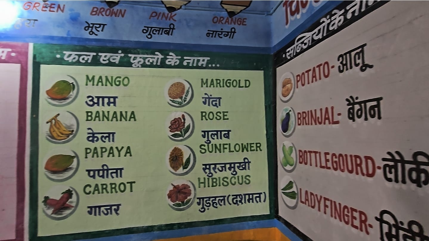 Gariaband Government School: स्कूल की दीवारों में पेंटिंग