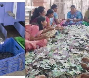 नोटों का पहाड़ और सिक्कों की बारिश! पलानी मंदिर के खजाने में बरसे करोड़ों, गिनने में मशीनों के भी छूटे पसीने