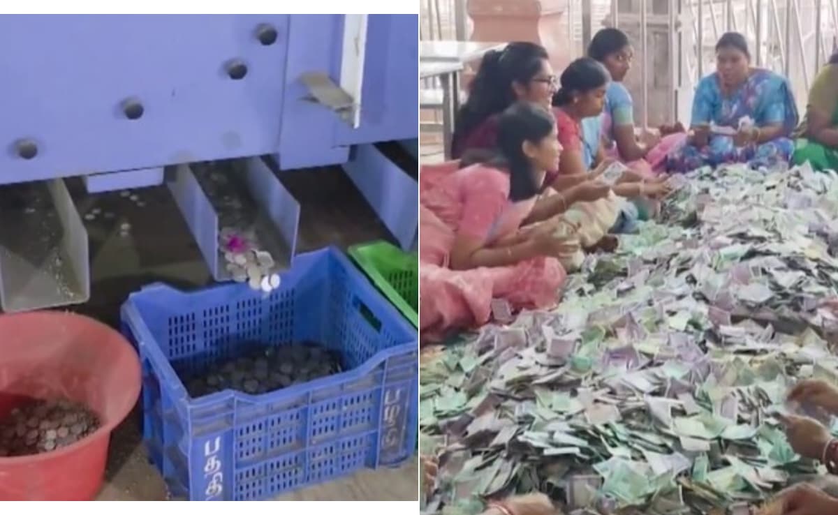 नोटों का पहाड़ और सिक्कों की बारिश! पलानी मंदिर के खजाने में बरसे करोड़ों, गिनने में मशीनों के भी छूटे पसीने