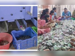 नोटों का पहाड़ और सिक्कों की बारिश! पलानी मंदिर के खजाने में बरसे करोड़ों, गिनने में मशीनों के भी छूटे पसीने