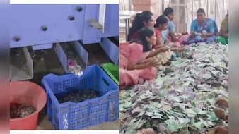 नोटों का पहाड़ और सिक्कों की बारिश! पलानी मंदिर के खजाने में बरसे करोड़ों, गिनने में मशीनों के भी छूटे पसीने
