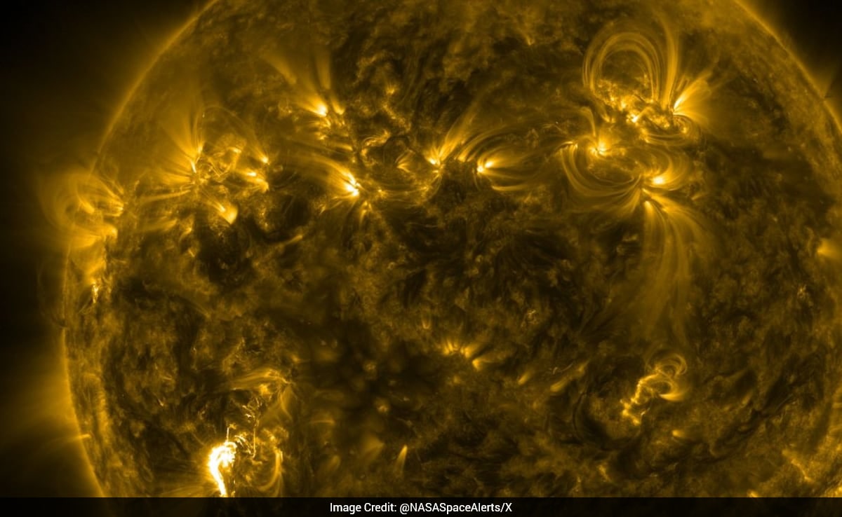 The Art of Baking: From Classic Bread to Artisan Pastries