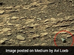 Mysterious 'Shiny' Object Spotted On Mars, Sparks Calls For NASA Probe