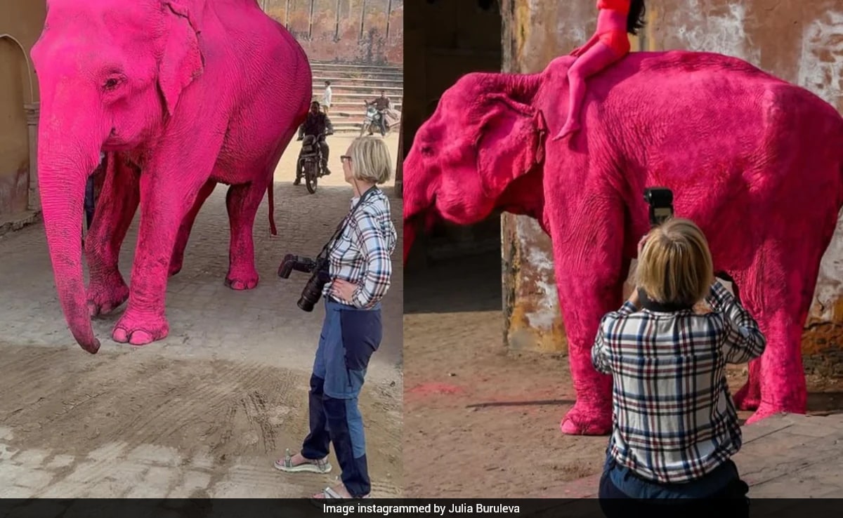 Latest and Breaking News on NDTV Latest and Breaking News on NDTV