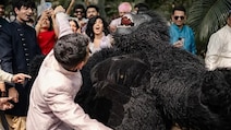 Why Dancing Gorillas Have Become The Latest Indian Wedding Trend
