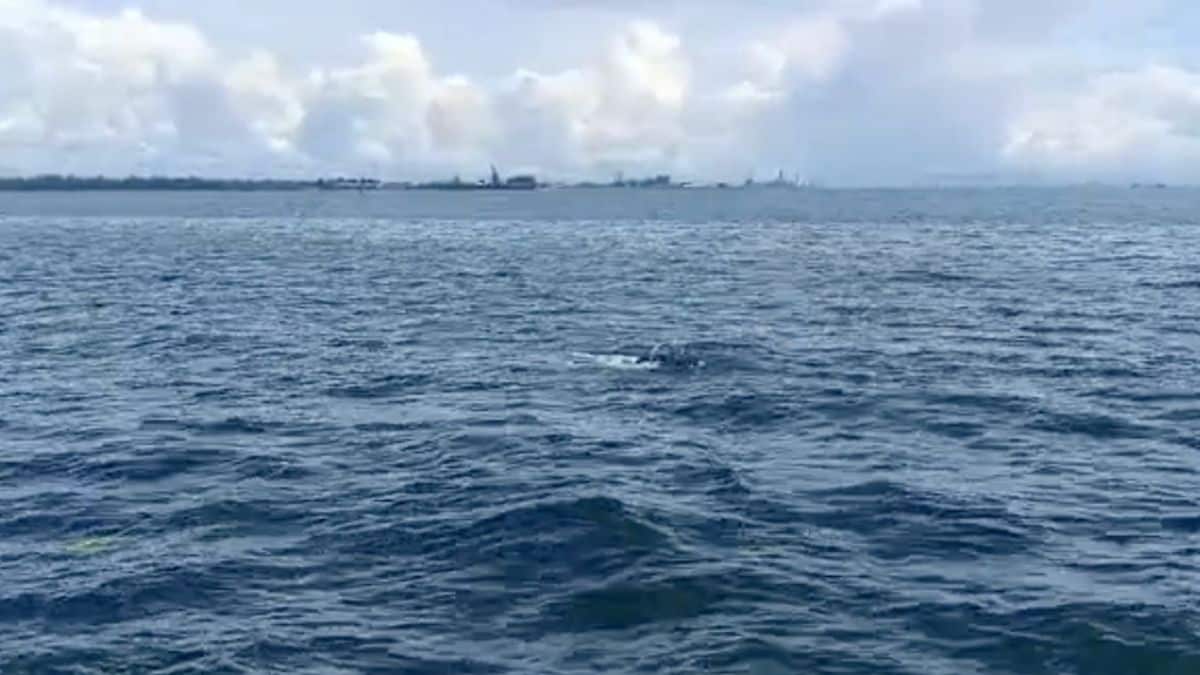 Latest and Breaking News on NDTV