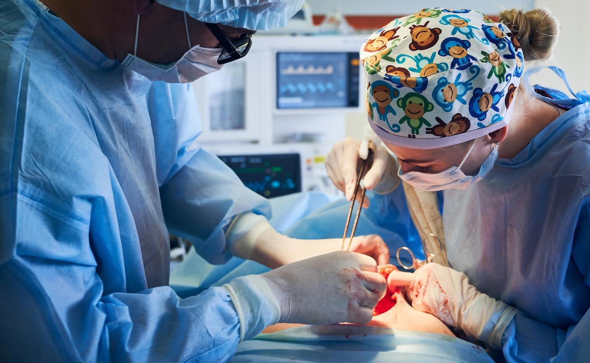 Organ transplantation surgery