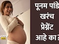 Poonam Pandey Pregnant: पूनम पांडे खरंच प्रेग्नेंट आहे का? बेबी बंप फ्लाँट करत शेअर केले फोटो See Photos