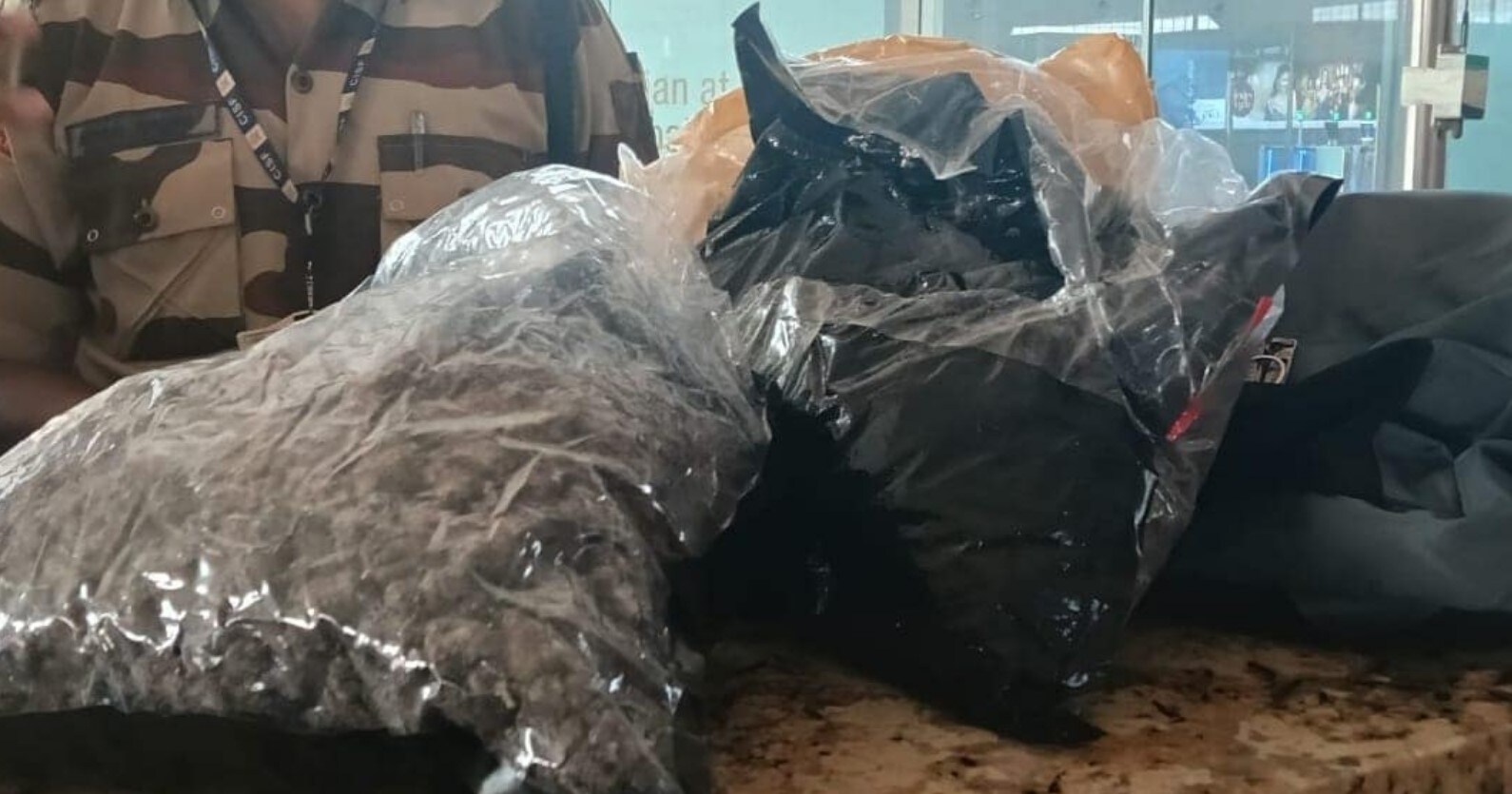 Rs 2 Crore Hydroponic Weed Seized at Mumbai Airport, CISF Intercepts Loader During Security Check