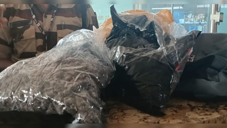 Rs 2 Crore Hydroponic Weed Seized at Mumbai Airport, CISF Intercepts Loader During Security Check