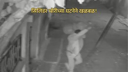 CCTV Footage: सोनं-चांदी, पैसे अन् सिलिंडरही चोरला! मध्य प्रदेशातील चोरीच्या घटनेची देशभर चर्चा