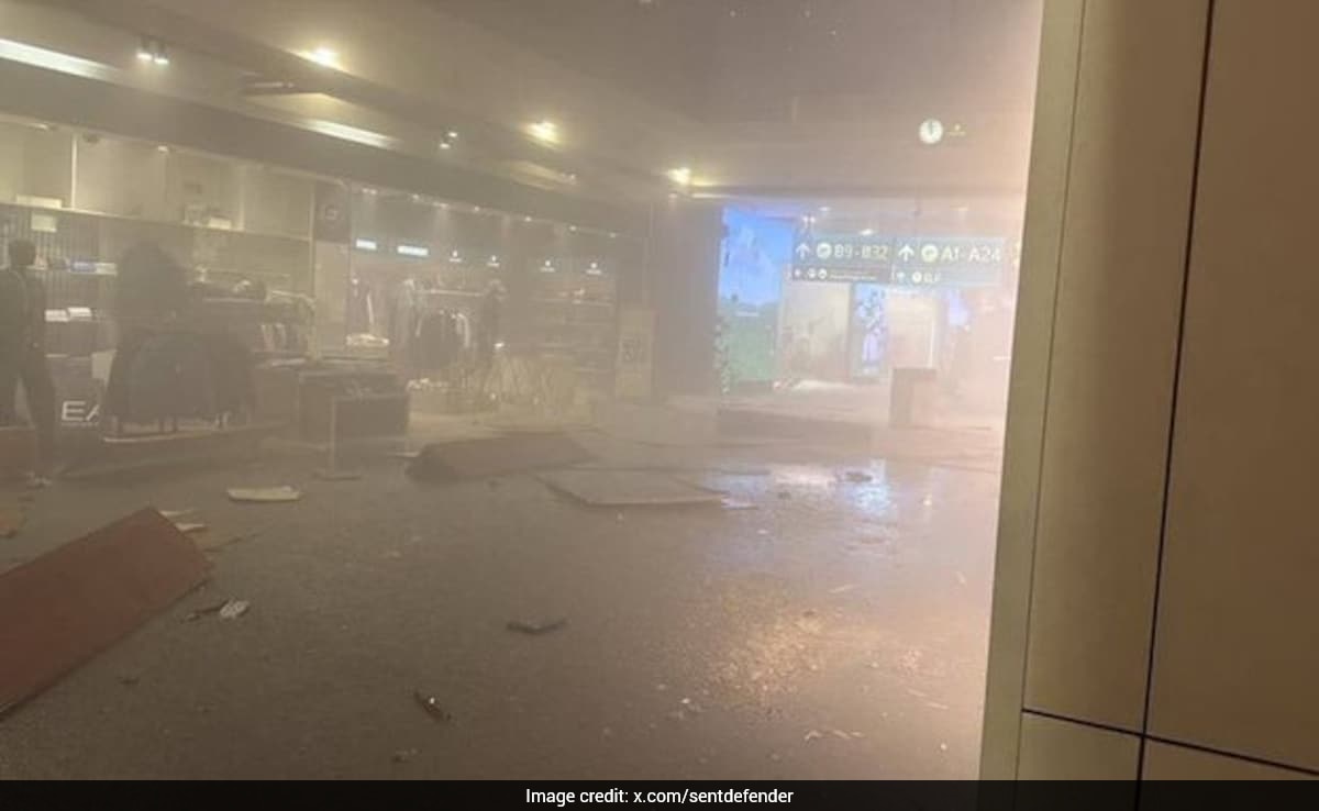 The Art of Baking: From Classic Bread to Artisan Pastries