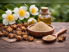 Naagkesar Ke Fayde : छोटी सी खुशबूदार जड़ी-बूटी, सेहत के लिए मानी जाती है बेहद फायदेमंद