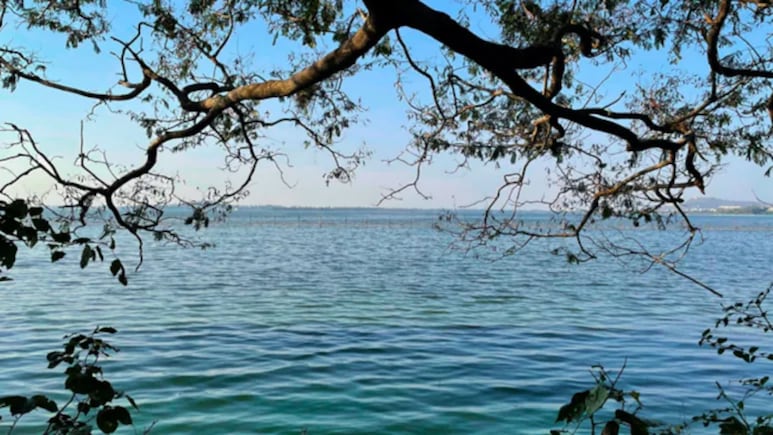 Bhandup Crime: वर्गातल्या दादागिरीचा राग.. 8 वीतील मुलांनी मित्राला संपवलं, तलावात फेकलं, पुढे जे घडलं..