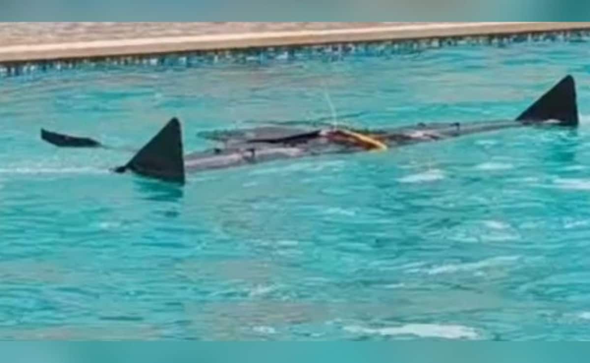 India's Rare SEAL Drone 'Avataar' Gets Feet Wet, Takes To Skies