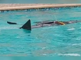 India's Rare SEAL Drone 'Avataar' Gets Feet Wet, Takes To Skies