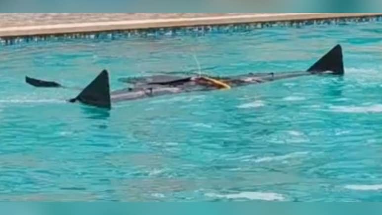 India's Rare SEAL Drone 'Avataar' Gets Feet Wet, Takes To Skies