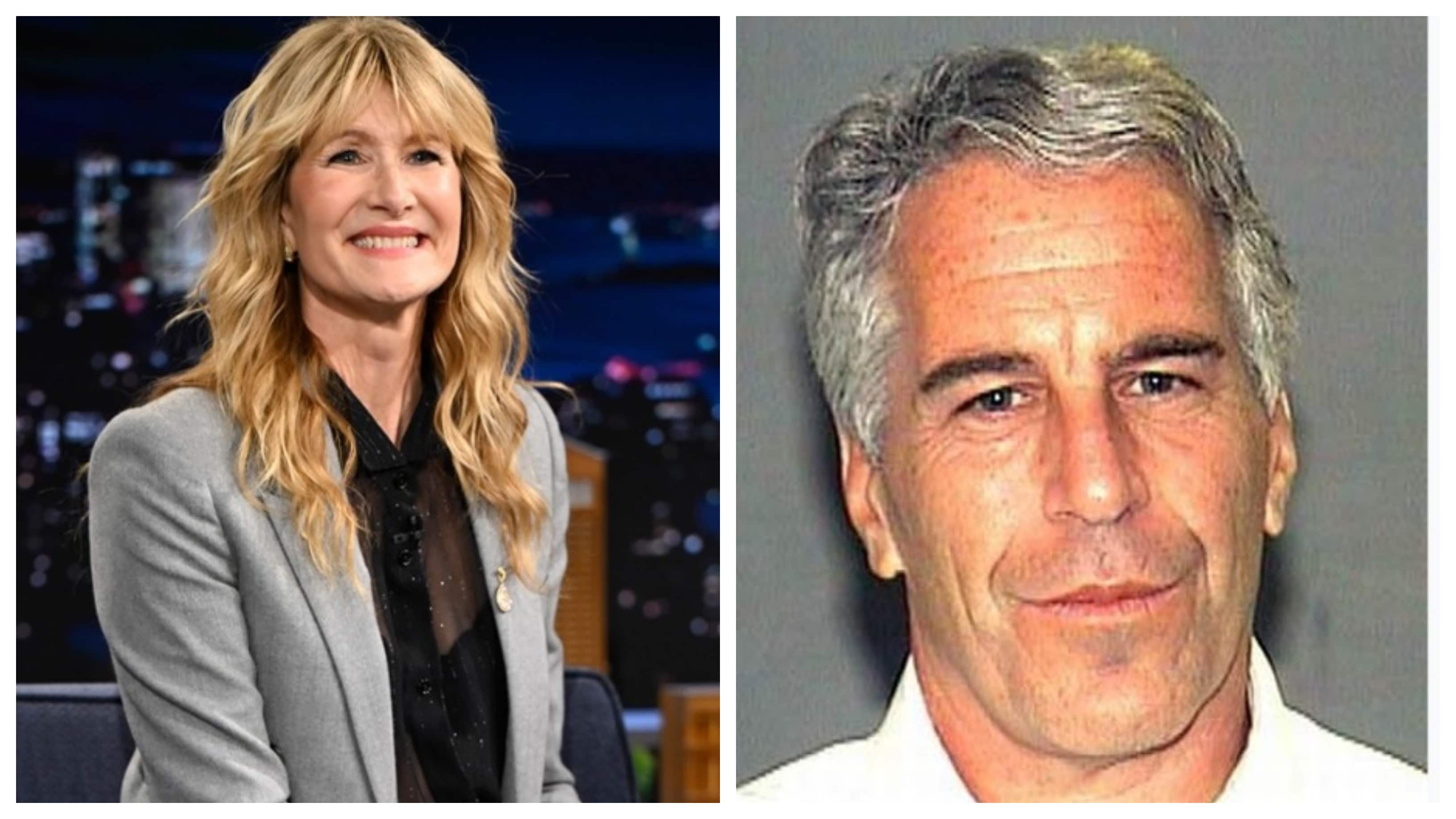 Jeffrey Epstein TV Series In The Works; Laura Dern To Star In Adaptation