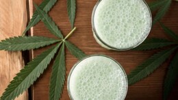 Why Bhang Is Not Safe For You, Delhi Doctor Breaks Down Health Risks Of Holi Beverage