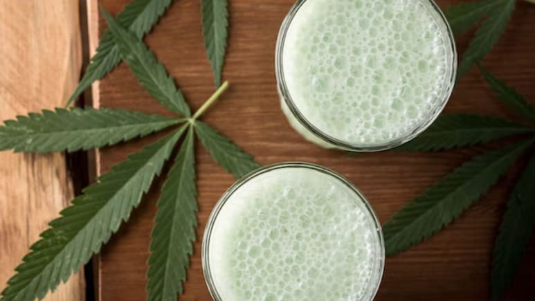 Why Bhang Is Not Safe For You, Delhi Doctor Breaks Down Health Risks Of Holi Beverage