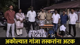 Akola News:अकोल्यात गांजा तस्करांचा धुमाकूळ, ऑपरेशन प्रहार अंतर्गत धडक कारवाई, 'त्या' 3 आरोपींना अटक