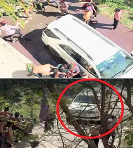 Ratlam Medical College Controversy: डॉक्टर पर छात्रों को कुचलने का आरोप