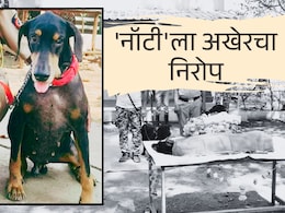 Bhandara News : 15 गुन्ह्यांची उकल, 33 प्रकरणात महत्त्वाची भूमिका; भंडाऱ्याची शान कर्तव्यदक्ष 'नॉटी'ला अखेरचा निरोप