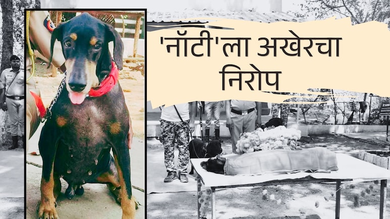 Bhandara : 15 गुन्ह्यांची उकल, 33 प्रकरणात महत्त्वाची भूमिका; भंडाऱ्याची शान कर्तव्यदक्ष 'नॉटी'ला अखेरचा निरोप