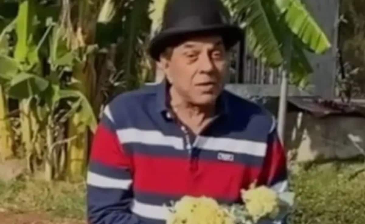 धर्मेंद्र के जाने के बाद सूना हो गया उनका 100 एकड़ का फार्महाउस, ताजा वीडियो देख नम हो जाएंगी फैन्स की आंखें