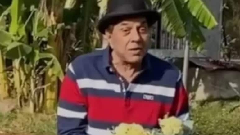 धर्मेंद्र के जाने के बाद सूना हो गया उनका 100 एकड़ का फार्महाउस, ताजा वीडियो देख नम हो जाएंगी फैन्स की आंखें