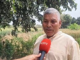 भरतपुर में आधुनिक खेती से किसान कमा रहा लाखों रुपये, एक बार लगाए पेड़, सालों तक होता है मुनाफा