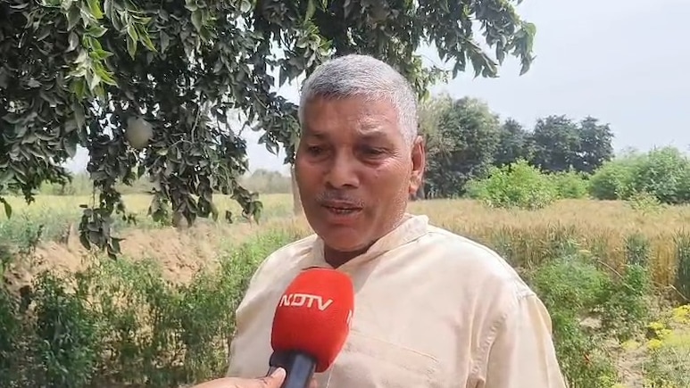 भरतपुर में आधुनिक खेती से किसान कमा रहा लाखों रुपये, एक बार लगाए पेड़, सालों तक होता है मुनाफा