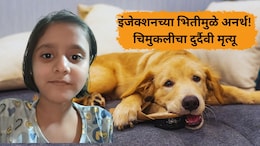 Nalasopara News: कुत्र्याचं नख लागल्याने रेबीज.. 6 महिन्यानंतर चिमुकलीचा मृत्यू; 'ही' चूक तुम्ही करु नका