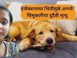 Nalasopara News: कुत्र्याचं नख लागल्याने रेबीज.. 6 महिन्यानंतर चिमुकलीचा मृत्यू; 'ही' चूक तुम्ही करु नका