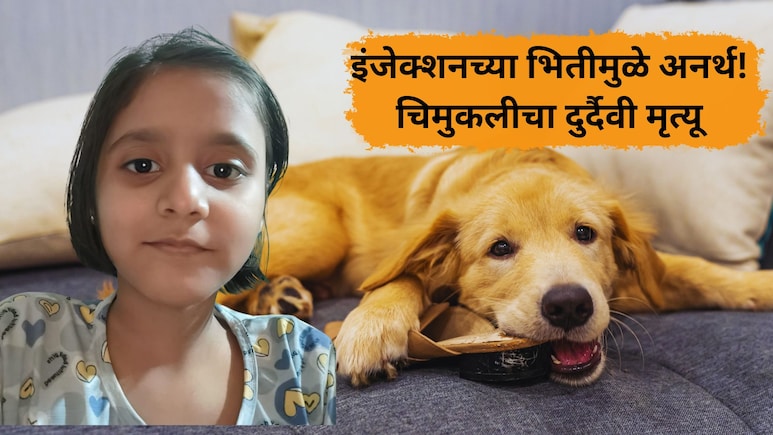 Nalasopara News: कुत्र्याचं नख लागल्याने रेबीज.. 6 महिन्यानंतर चिमुकलीचा मृत्यू; 'ही' चूक तुम्ही करु नका