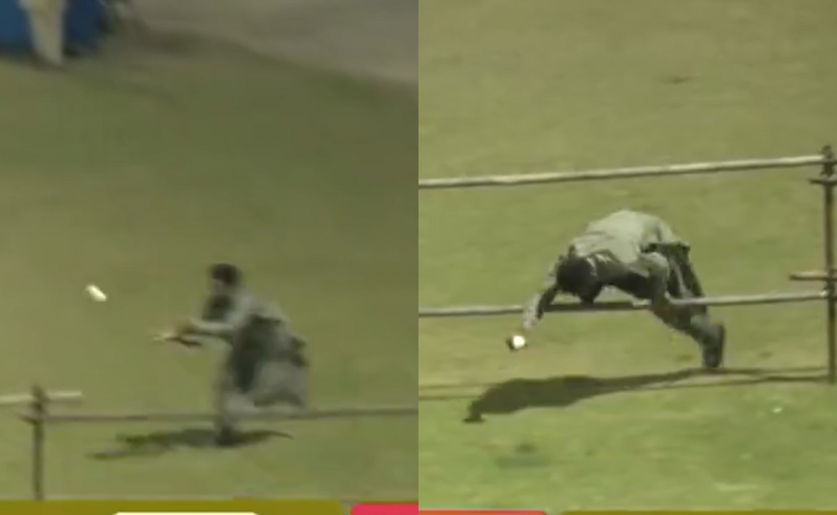 Fan's Terrific Escape After Sensational Catch Sets Internet Ablaze. Watch