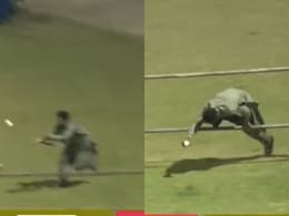 "Spiderman": Fan's Terrific Escape After Sensational Catch Sets Internet Ablaze. Watch