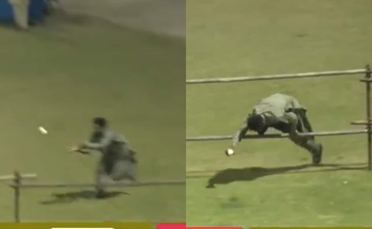 "Spiderman": Fans Terrific Escape After Sensational Catch Sets Internet Ablaze. Watch