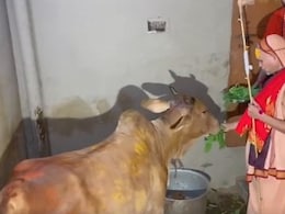 शंकराचार्य अविमुक्तेश्वरानंद का लखनऊ कूच, 40 दिनों का अल्टीमेटम खत्म, अब यूपी में आंदोलन की बारी