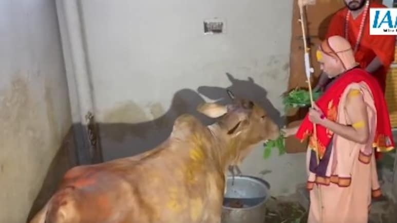 शंकराचार्य अविमुक्तेश्वरानंद का लखनऊ कूच, 40 दिनों का अल्टीमेटम खत्म, अब यूपी में आंदोलन की बारी