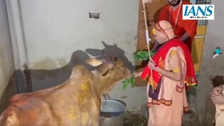 स्वामी अविमुक्तेश्वरानंद ने किया गो प्रतिष्ठा धर्मयुद्ध यात्रा का शंखनाद, इन जिलों से होते हुए लखनऊ कूच