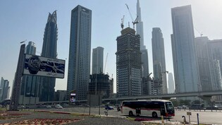 Turning The Other Cheek: While Missiles Fly, UAE's Gamble On Restraint