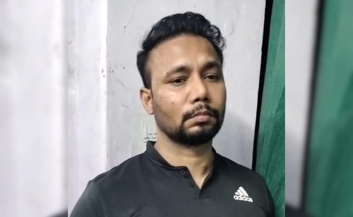 The Art of Baking: From Classic Bread to Artisan Pastries