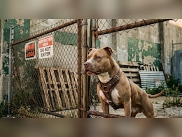 जांच के ल&zwj;िए पहुंची महिला हेड कांस्टेबल पर पिटबुल से कराया हमला, क&zwj;िया लहूलुहान&nbsp;