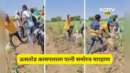 Beed News: 'मारू नका ना, सोडा त्यांना' ऊसतोड मजुराच्या पत्नीचा टाहो, पण ते मारतच राहीले, Video Viral