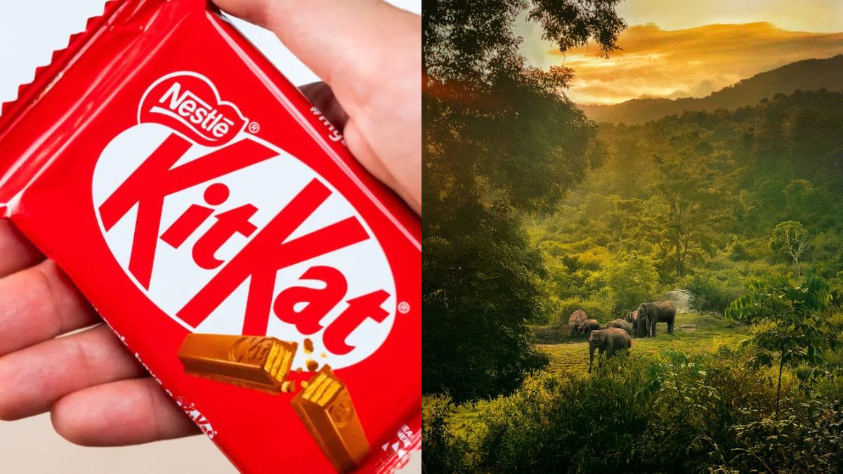 Kerala Tourism Joins KitKat Meme Trend, Invites You For A 'Proper Break'