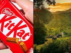 Kerala Tourism Joins KitKat Meme Trend, Suggests How To Take A 'Proper Break'
