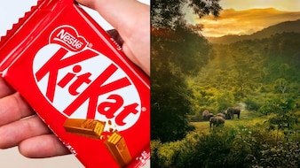 Kerala Tourism Joins KitKat Meme Trend, Invites You For A 'Proper Break'