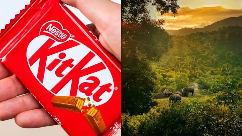 Kerala Tourism Joins KitKat Meme Trend, Suggests How To Take A 'Proper Break'